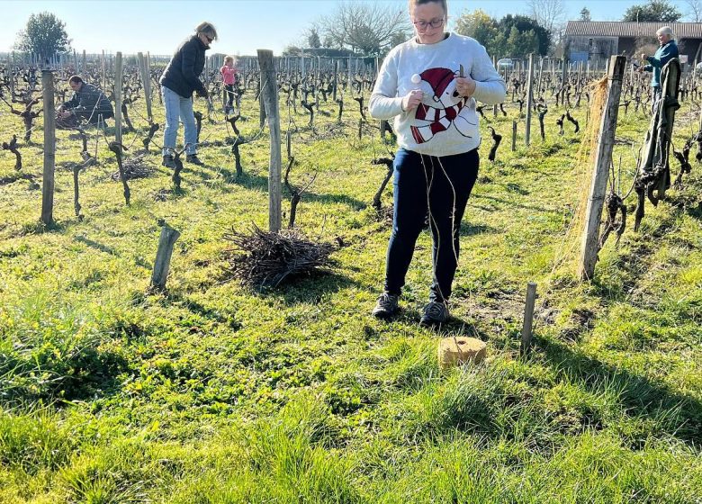 Journée sarments à Saint-Christoly-Médoc