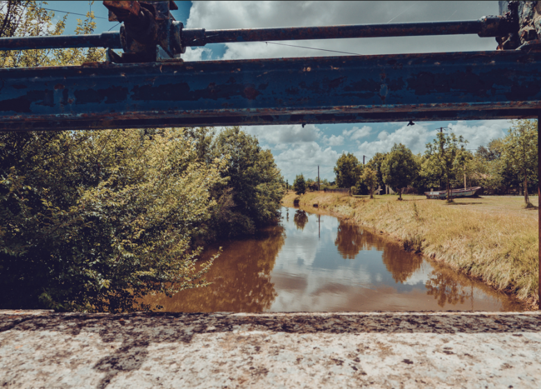 Les Trésors des rives de l’Estuaire