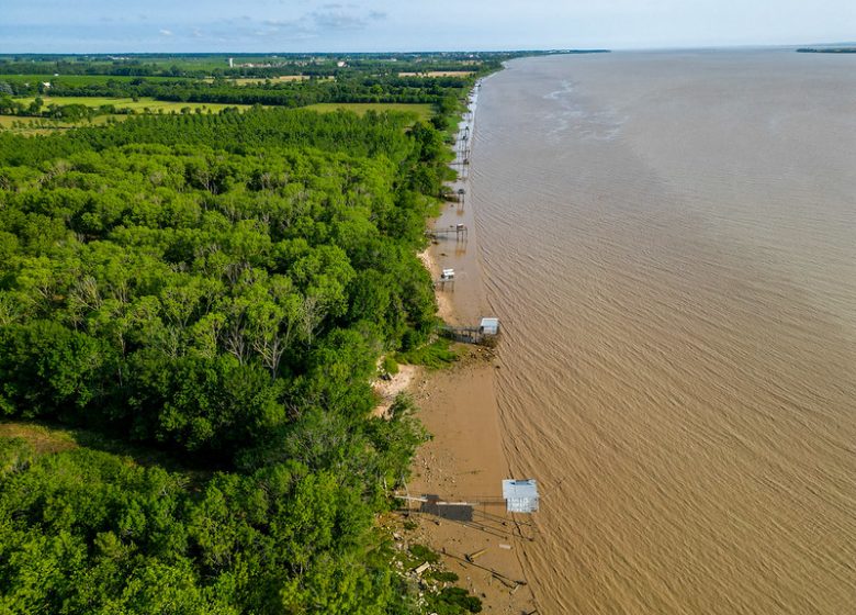 Chemin d’Amadour : étape 4 de Pauillac à Cussac-fort-Médoc