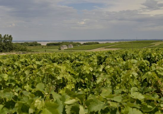 Château Croix du Trale