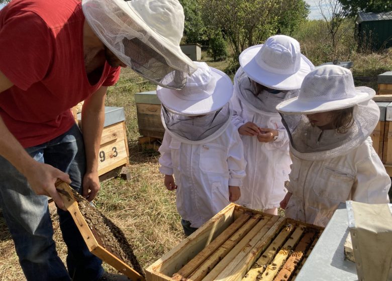 Visite guidée d’un rucher avec Mella Facimus