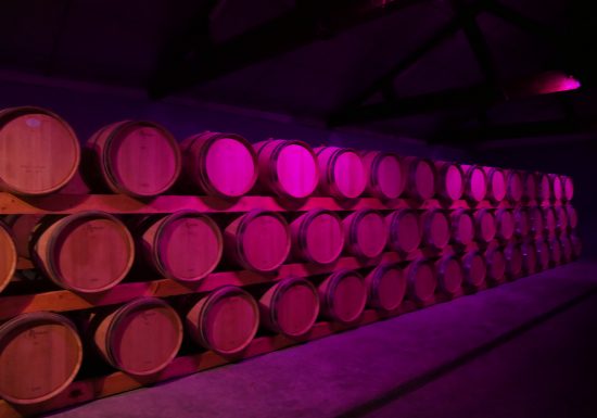 Cave La Rose Pauillac