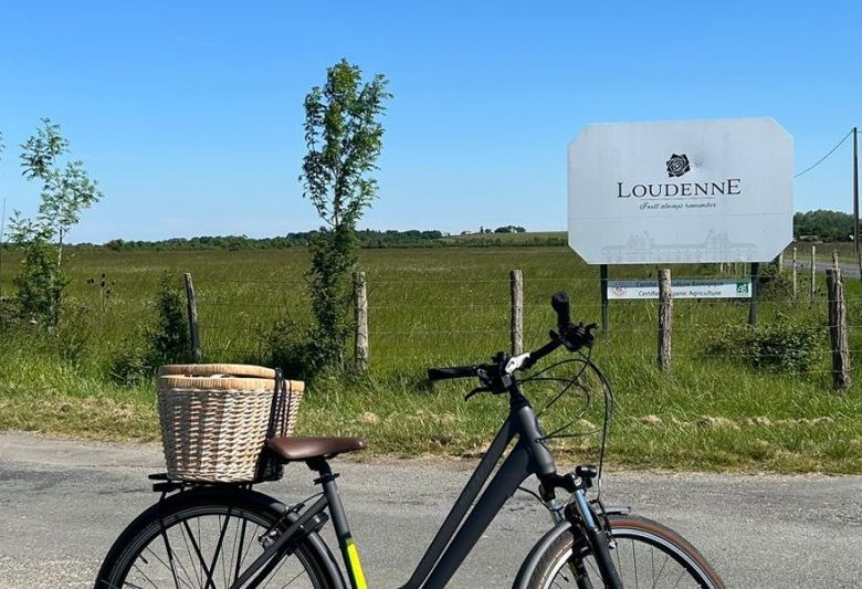 Wine and Bike au Château Loudenne