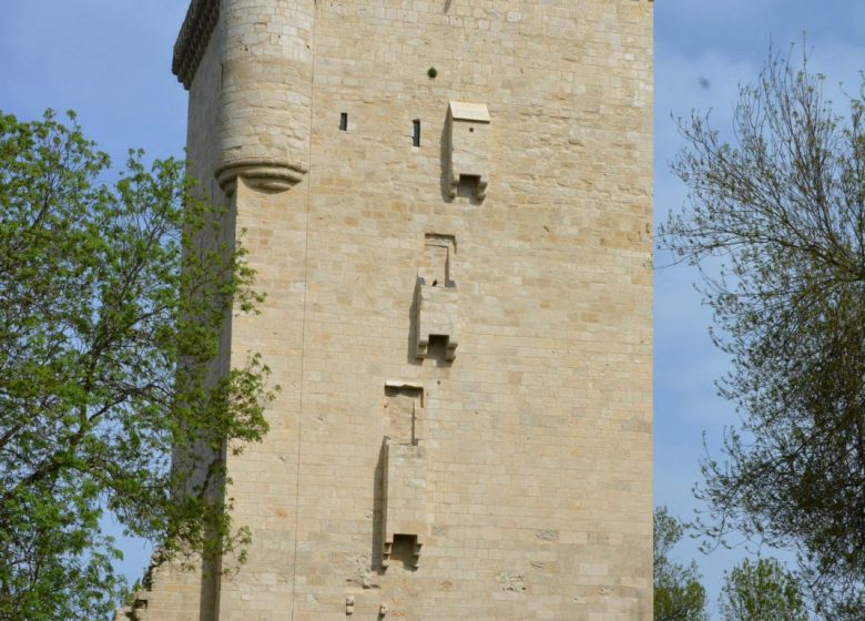 JEP à la Tour de l’Honneur