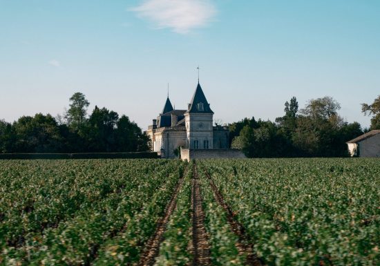 Château Tronquoy