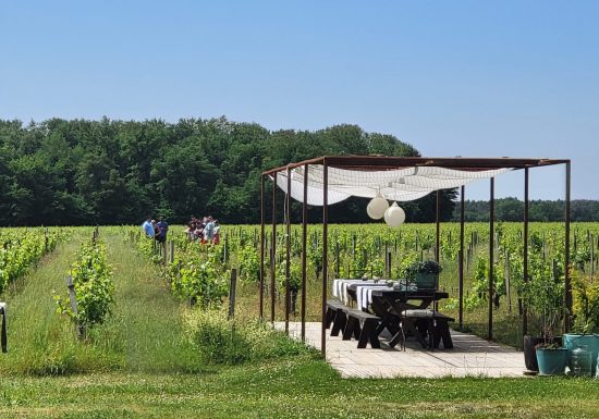 L’Apéro dans les Vignes au Château Hourtin-Ducasse