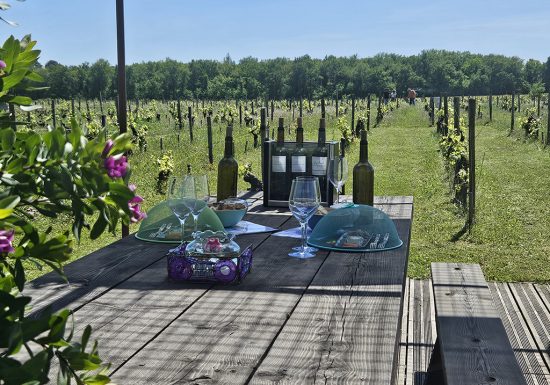 L’Apéro dans les Vignes au Château Hourtin-Ducasse