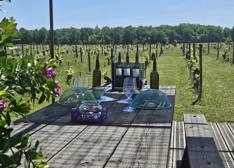 L’Apéro dans les Vignes au Château Hourtin-Ducasse