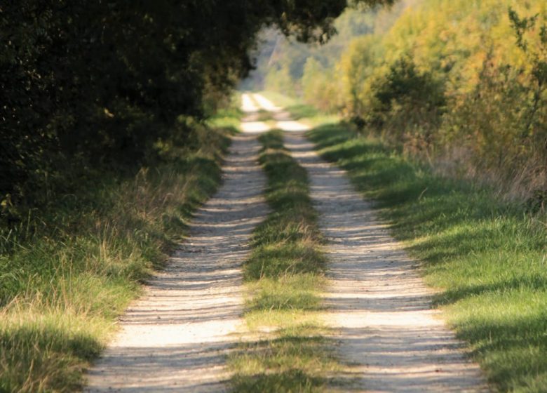 O’cœur du Médoc