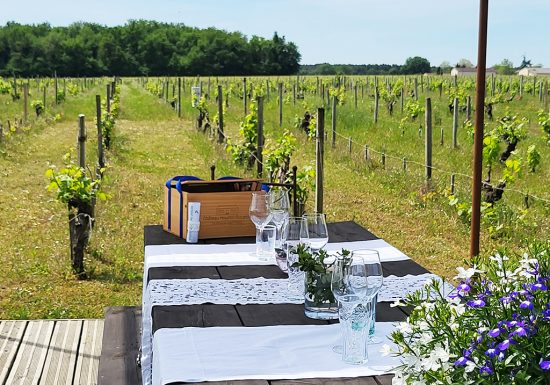 Pique-nique dans le Jardin au Château Hourtin-Ducasse