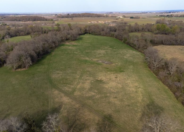 Site archéologique de Brion